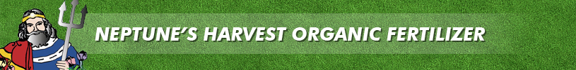 logo (1).gif