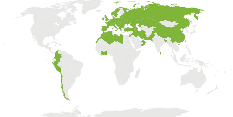 Tesy-catalogue-boileri-karta.png