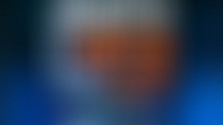 BPJEPS Basketball : journées de l'Emploi et de la Formation