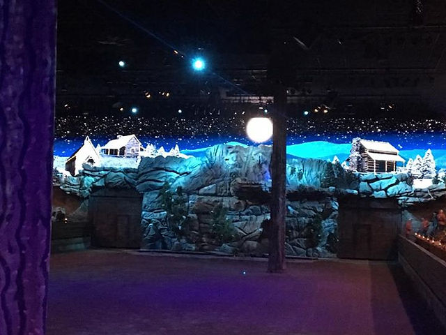 Dixie Stampede Christmas Background