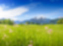 AdobeStock_135362356.jpeg