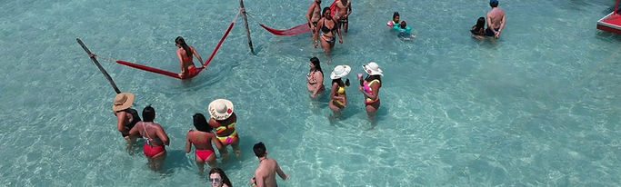 passeio as piscinas naturais de maragogi e região