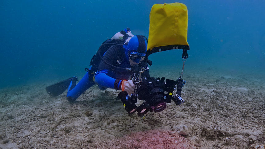 Jay scuba diving