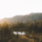 Wild Pond