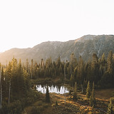 Wild Pond