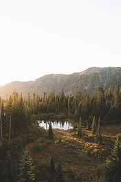 Wild Pond