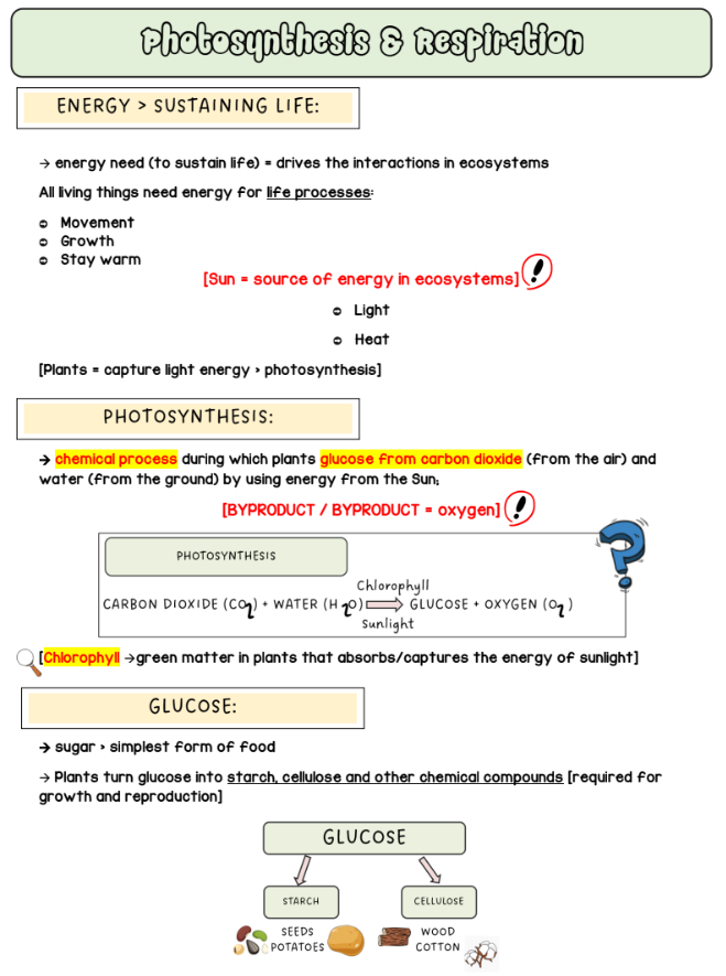 Thumbnail: Gr 8 Natural Sciences [English]