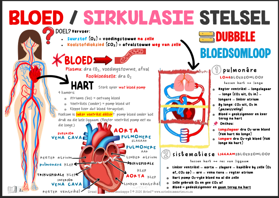 Thumbnail: Gr 9 Natuurwetenskappe [Afrikaans]
