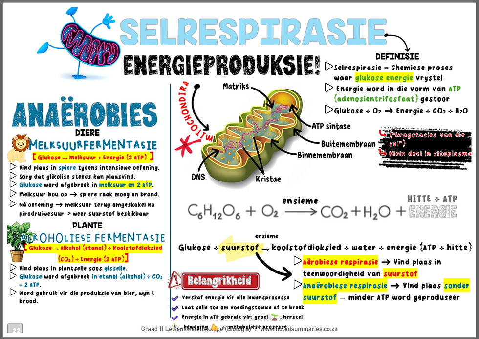 Thumbnail: Gr 11  Lewenswetenskappe [Afrikaans]