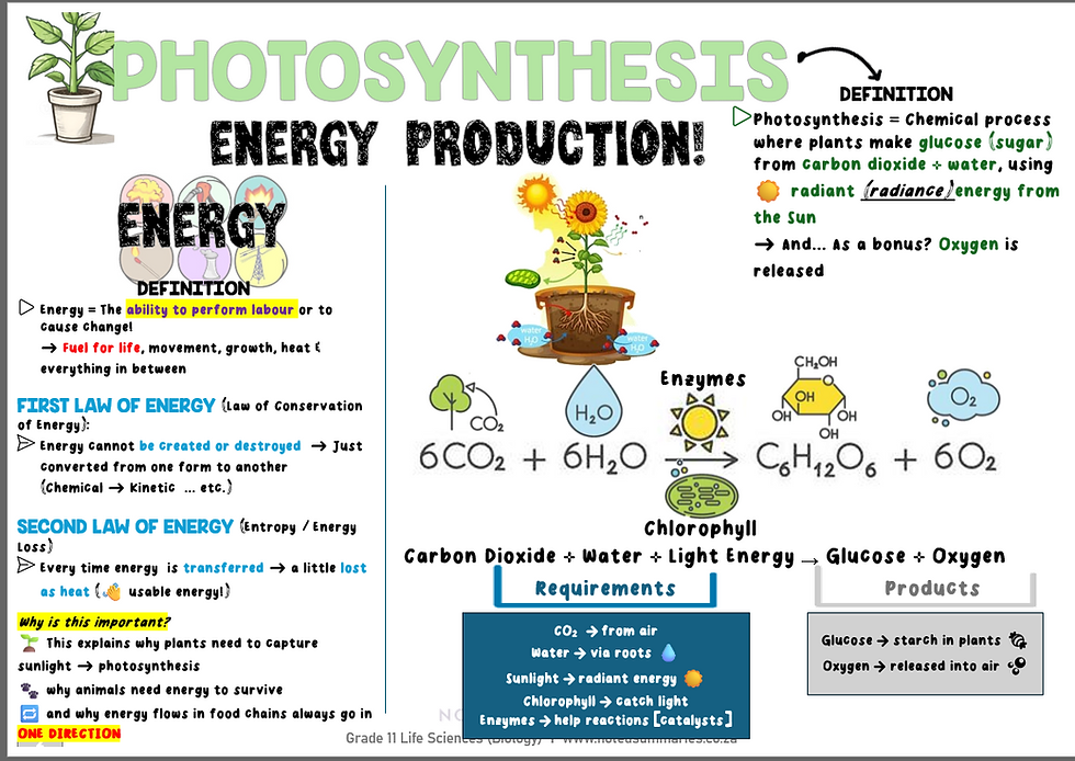 Thumbnail: Gr 11 Life Sciences P1 [English]