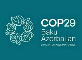 Reflections from COP29: The Fight for Climate Finance and What We Learned at Frontieres Bay Energies