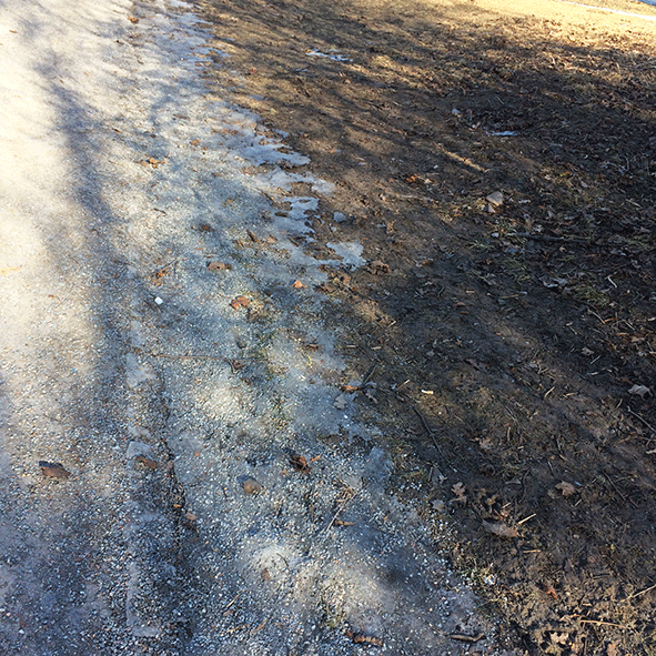 StubbornSnow6web.gif