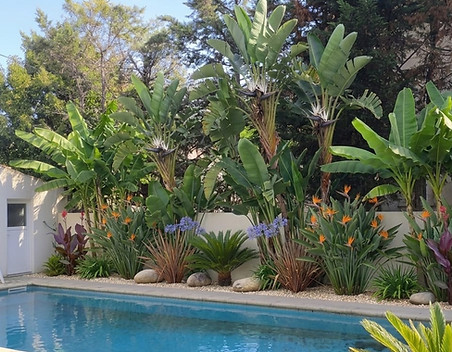 creation-jardin.jpg