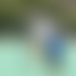 Boys B Grade Handball Semifinal & Final