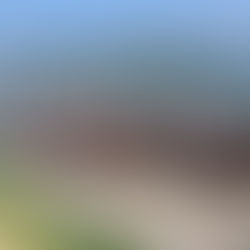 PTA AGM & Picnic Day