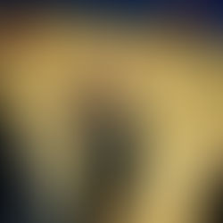 Boys A Grade Volleyball Semifinal