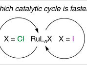 Our new comprehensive review about the halogen effect in ruthenium catalysis was published in Russian Chemical Reviews