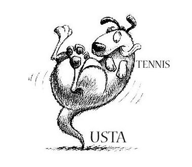 JavierPalenque-USTA-Tennis.jpg