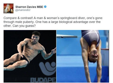 Sharron-Tweet3.jpg