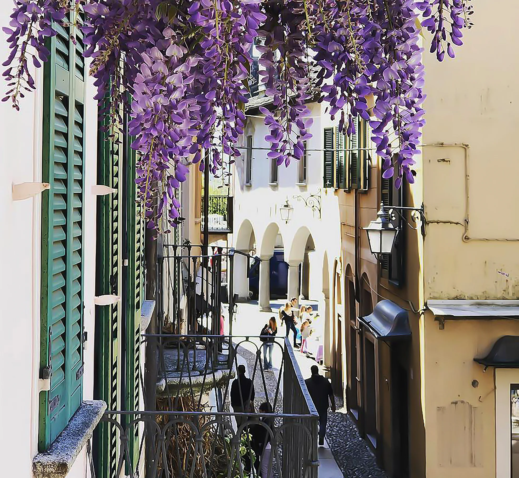 GLICINI LOCANDA DI ORTA 2.webp