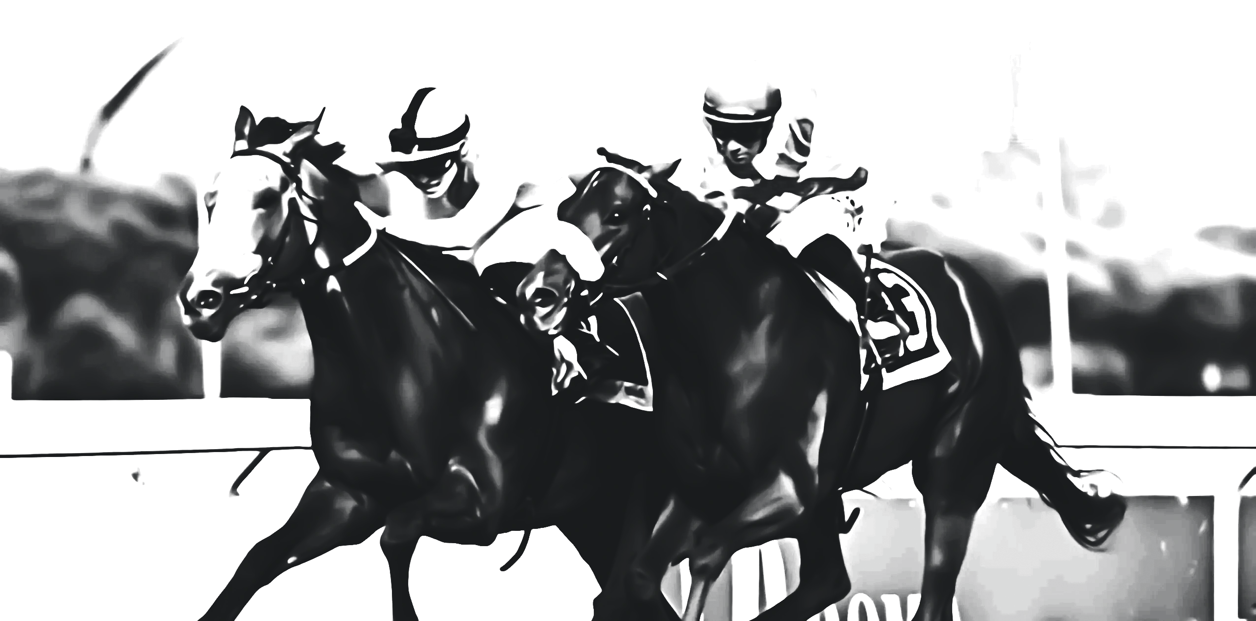 DETTORI CORSA_BN 2.webp