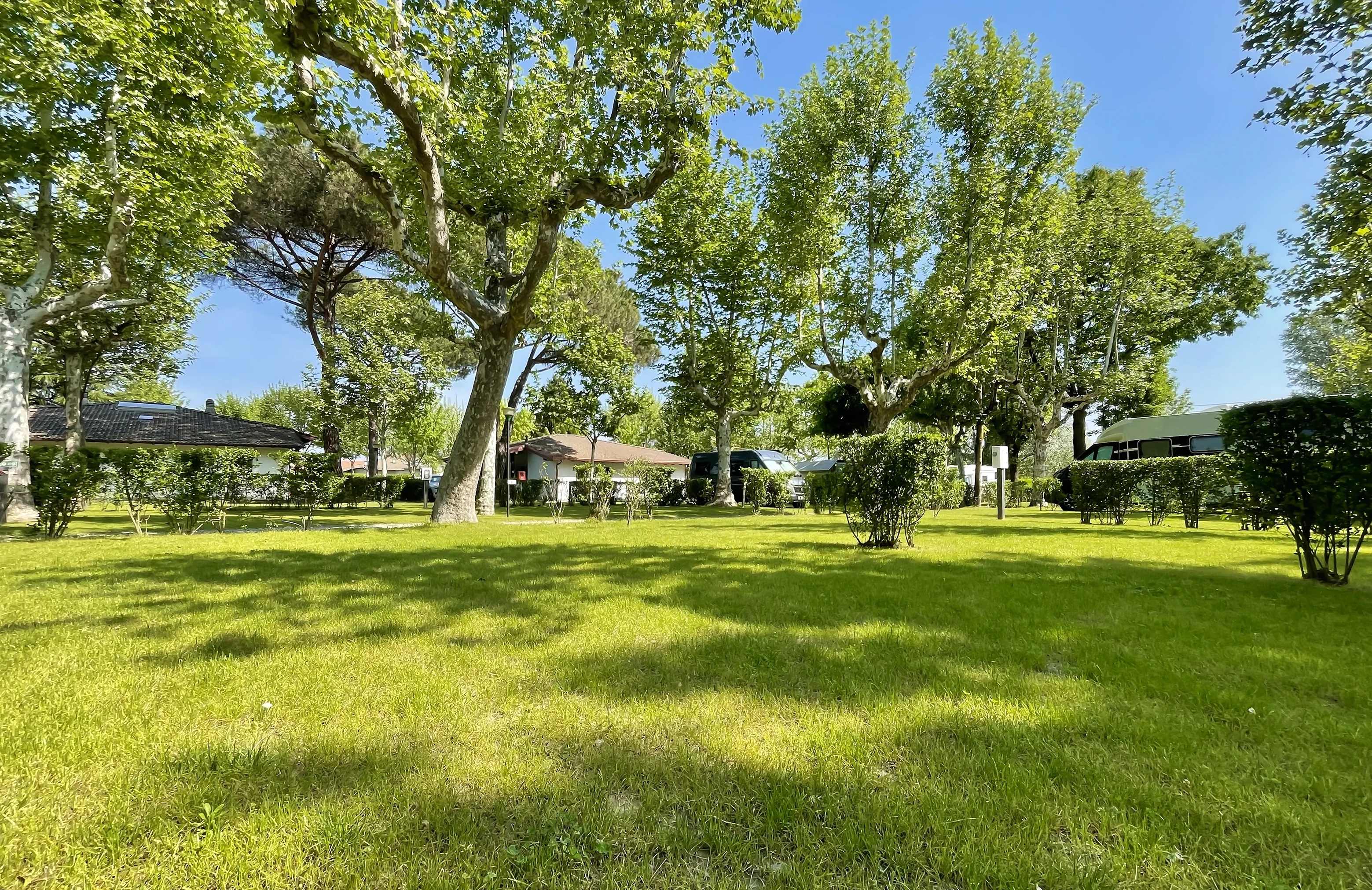 Piazzole HOME.webp