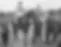 Nearco.webp