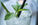 Cold Drinks and Digestion: What TCM Says