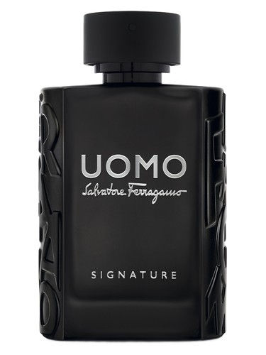 Ferragamo Uomo Signature EDP 100ml