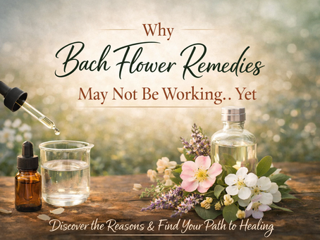 Why Bach Flower Remedies May Not Be Working for You… Yet 