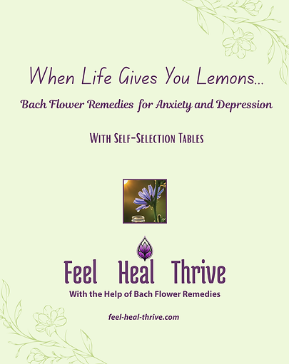 cover of the book bach flower remedies for anxiety and depression