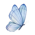 Recurso 12121218.png