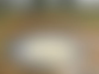 Five Go Fettling a Pond