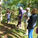 Gur Beck Defamiliarisation