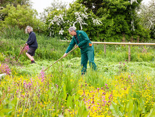 An Outbreak of Wildlife at West Beckham 