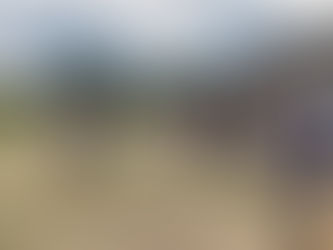 Scything for Beginners