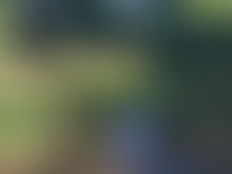 Sustead Scrape Scraped