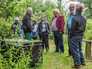 Annual gathering - 2019