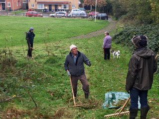 Two for one at Sadler's Wood