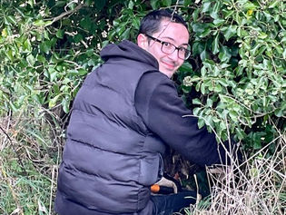 More Hedge Care at West Beckham Old Allotments