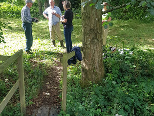 Ten People went to Mow