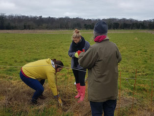 Multi-tasking to Great Effect 