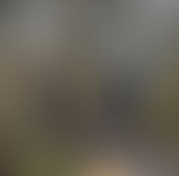 Stow Heath : a bog blog