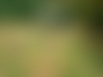 Levelling down in Sustead