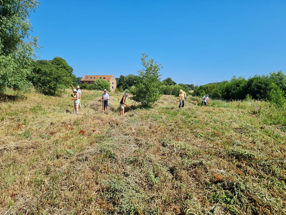 Thornage Mill Raking