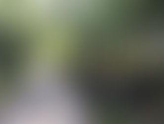 Open Day preparation