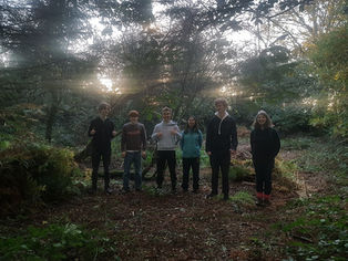 Greshams Bracken bashing at West Beckham Green