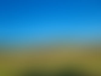 Late summer BBQ and more at West Beckham Old Allotments