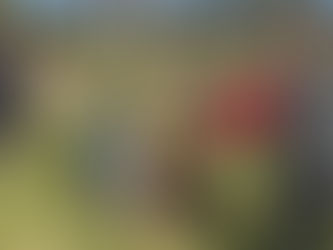  A Spring Tidy Up Work Party at the Beckhams 