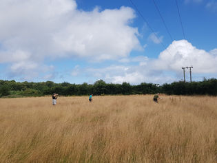 Bioblitz Preparation Work Party